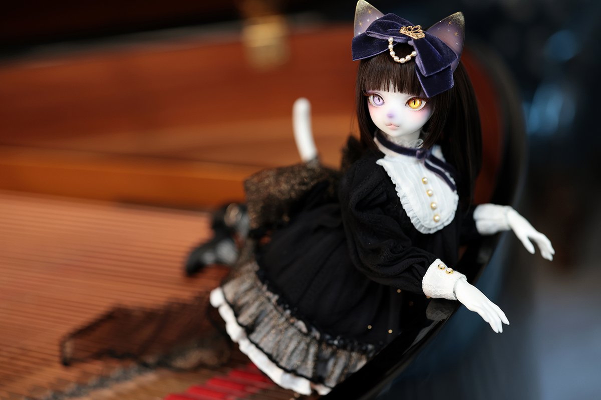 DOLK×DEAR MINE】✨世界40体限定✨ 銀河一のアイドル猫『VIVIEN L 