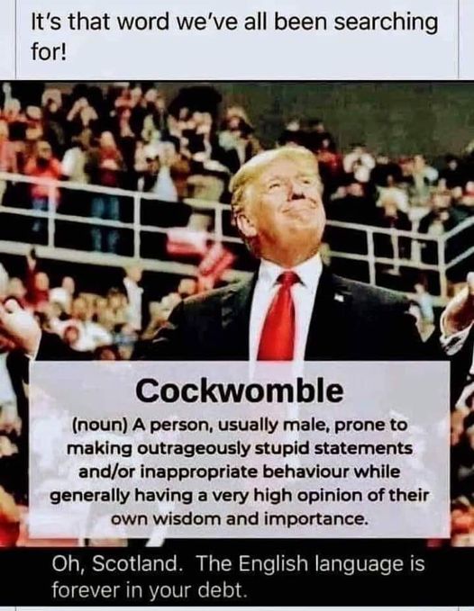 Hillbilly Highlander (@hillbillyhighl1) on Twitter photo 