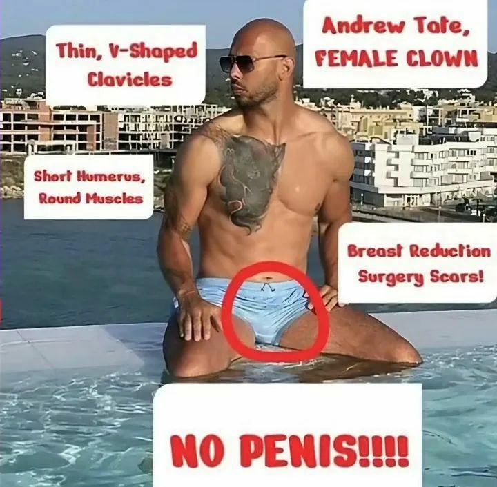 ⸸JulioVonGhoulio⸸ tweet media