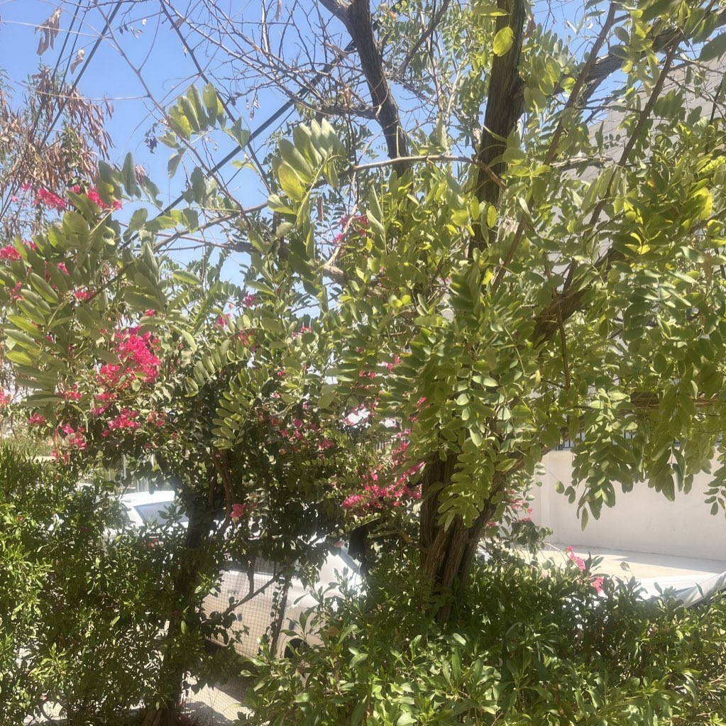 3dtey's tweet photo. - جمعة مباركة

﴿ أَنِّي مَسَّنِيَ الضُّرُّ وَأَنْتَ أَرْحَمُ الرَّاحِمِينَ﴾

ماخيب الله الكفوف داعية🌷 https://t.co/DgEFDj055C