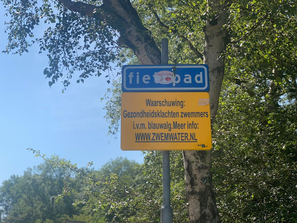 ❗ Let op! Blauwalg in de Kralingse Plas. Blijf daarom uit het water. Van blauwalg kun je ziek worden en last krijgen van je ogen en neus. Daarom mogen mensen en dieren hier niet zwemmen.
Er staan borden om mensen te waarschuwen. 
Meer weten over blauwalg? rotterdam.nl/blauwalg-krali…