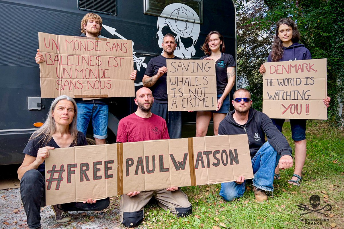SeaShepherdFran's tweet photo. Aux côtés de Paul pour obtenir sa libération mais aussi plus présents que jamais sur le terrain ! Sans votre soutien, nous ne pourrions rien faire, nous avons besoin de vous pour tenir. Si vous ne l’avez pas encore fait, faites un don sur notre cagnotte dédiée ou directement sur le site de Sea Shepherd France. MERCI ❤️

👉 https://t.co/DhtoqLTErF

Photo 1 - Depuis Gilbraltar pour l’Opération Gladis : mission de protection des orques ibériques en danger critique d’extinction.
Photo 2 - Depuis les îles Féroé pour l’opération Grindstop : mission contre le massacre des dauphins aux îles Féroé. Des familles entières de globicéphales rabattus et tués avec des lances dans des fjords féringiens. (Photo prise à l’ancienne station baleinière des Féroé sur l’île de Streymoy)
Photo 3 - Depuis Mayotte pour l’Opération Nyamba : mission de défense des tortues marines de Mayotte, massacrées à la machette par des braconniers sur les plages de ponte.
Photo 4 - Depuis le Sea Shepherd Rescue pour notre mission d’accueil, de soins et de relâché de la faune sauvage marine et terrestre de Bretagne.
A ces 4 missions, s’ajoute désormais la campagne Free Paul Watson : mobilisation internationale pour obtenir la libération de Paul Watson qui risque une extradition vers le Japon pour avoir sauvé des milliers de baleines.
« Si nos actions vous touchent, si vous jugez notre travail nécessaire et important, sachez qu’il n’est rendu possible que grâce au soutien de gens qui comme vous, ne supportent plus de voir l’état du monde actuel et ce que nous faisons subir à l’océan et aux animaux marins. Des gens qui décident de contribuer à la hauteur de leurs moyens, qui nous rendent forts, libres, qui nous aident à être les meilleurs défenseurs possibles de l’océan et de ses habitants.
« Nous ne sommes pas une goutte d’eau dans l’océan, nous sommes l’océan dans une goutte d’eau » disait le poète Rumi.
En faisant un don, quel qu’en soit le montant, vous n’êtes pas une simple goutte d’eau parmi d’autres. Vous incarnez votre part d’océan. Et ça change tout. Ensemble, nous devenons l’océan qui se défend »
@LamyaEssemlali , Fondatrice et Présidente de Sea Shepherd France
#FreePaulWatson