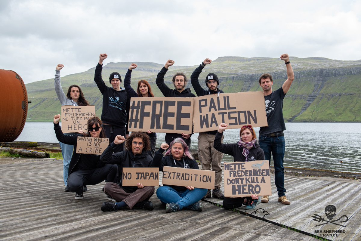 SeaShepherdFran's tweet photo. Aux côtés de Paul pour obtenir sa libération mais aussi plus présents que jamais sur le terrain ! Sans votre soutien, nous ne pourrions rien faire, nous avons besoin de vous pour tenir. Si vous ne l’avez pas encore fait, faites un don sur notre cagnotte dédiée ou directement sur le site de Sea Shepherd France. MERCI ❤️

👉 https://t.co/DhtoqLTErF

Photo 1 - Depuis Gilbraltar pour l’Opération Gladis : mission de protection des orques ibériques en danger critique d’extinction.
Photo 2 - Depuis les îles Féroé pour l’opération Grindstop : mission contre le massacre des dauphins aux îles Féroé. Des familles entières de globicéphales rabattus et tués avec des lances dans des fjords féringiens. (Photo prise à l’ancienne station baleinière des Féroé sur l’île de Streymoy)
Photo 3 - Depuis Mayotte pour l’Opération Nyamba : mission de défense des tortues marines de Mayotte, massacrées à la machette par des braconniers sur les plages de ponte.
Photo 4 - Depuis le Sea Shepherd Rescue pour notre mission d’accueil, de soins et de relâché de la faune sauvage marine et terrestre de Bretagne.
A ces 4 missions, s’ajoute désormais la campagne Free Paul Watson : mobilisation internationale pour obtenir la libération de Paul Watson qui risque une extradition vers le Japon pour avoir sauvé des milliers de baleines.
« Si nos actions vous touchent, si vous jugez notre travail nécessaire et important, sachez qu’il n’est rendu possible que grâce au soutien de gens qui comme vous, ne supportent plus de voir l’état du monde actuel et ce que nous faisons subir à l’océan et aux animaux marins. Des gens qui décident de contribuer à la hauteur de leurs moyens, qui nous rendent forts, libres, qui nous aident à être les meilleurs défenseurs possibles de l’océan et de ses habitants.
« Nous ne sommes pas une goutte d’eau dans l’océan, nous sommes l’océan dans une goutte d’eau » disait le poète Rumi.
En faisant un don, quel qu’en soit le montant, vous n’êtes pas une simple goutte d’eau parmi d’autres. Vous incarnez votre part d’océan. Et ça change tout. Ensemble, nous devenons l’océan qui se défend »
@LamyaEssemlali , Fondatrice et Présidente de Sea Shepherd France
#FreePaulWatson
