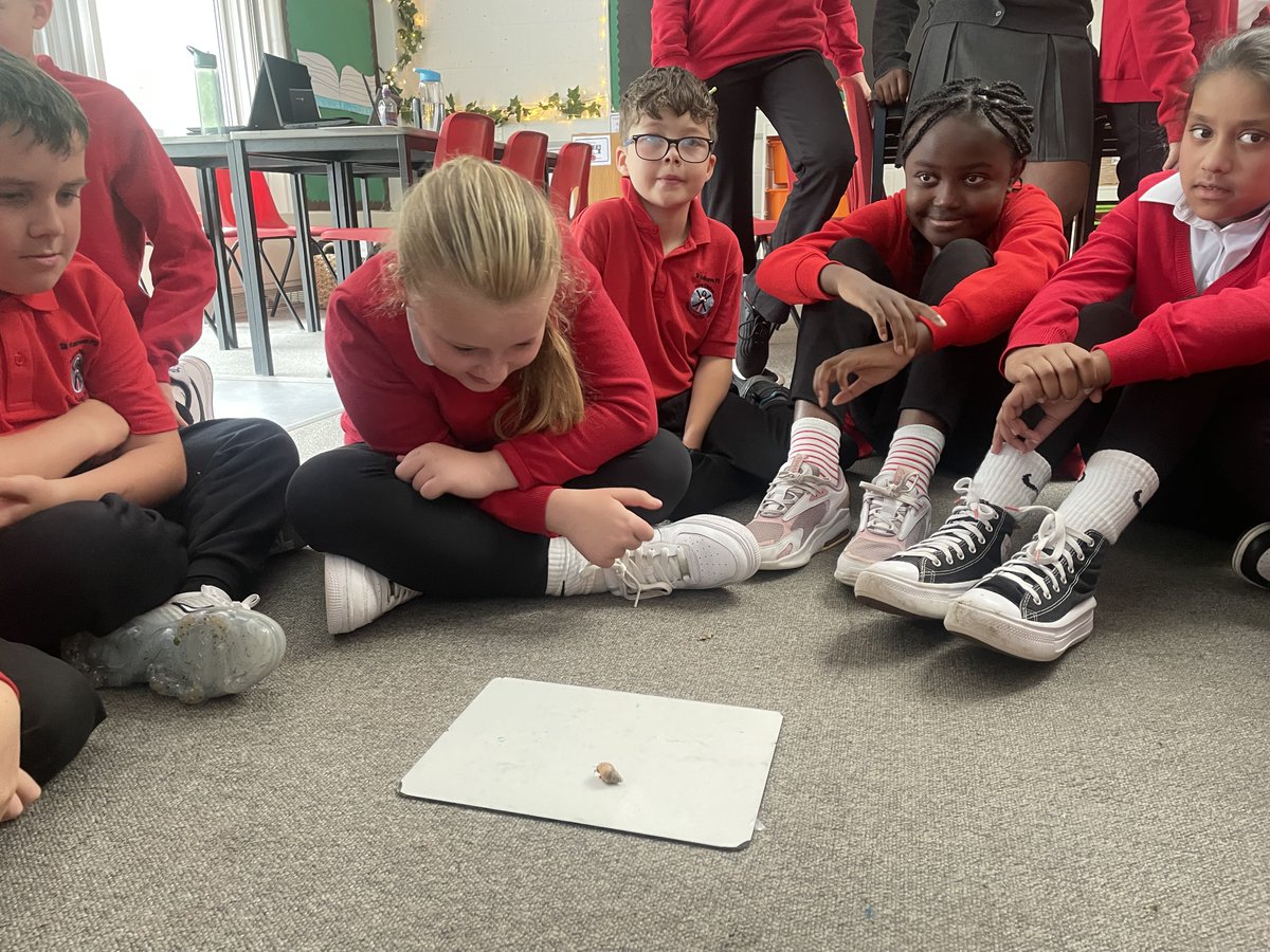 St Andrews RC Primary tweet media