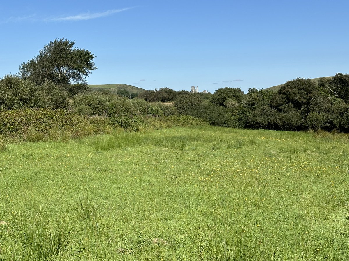 Ken Jude tweet media