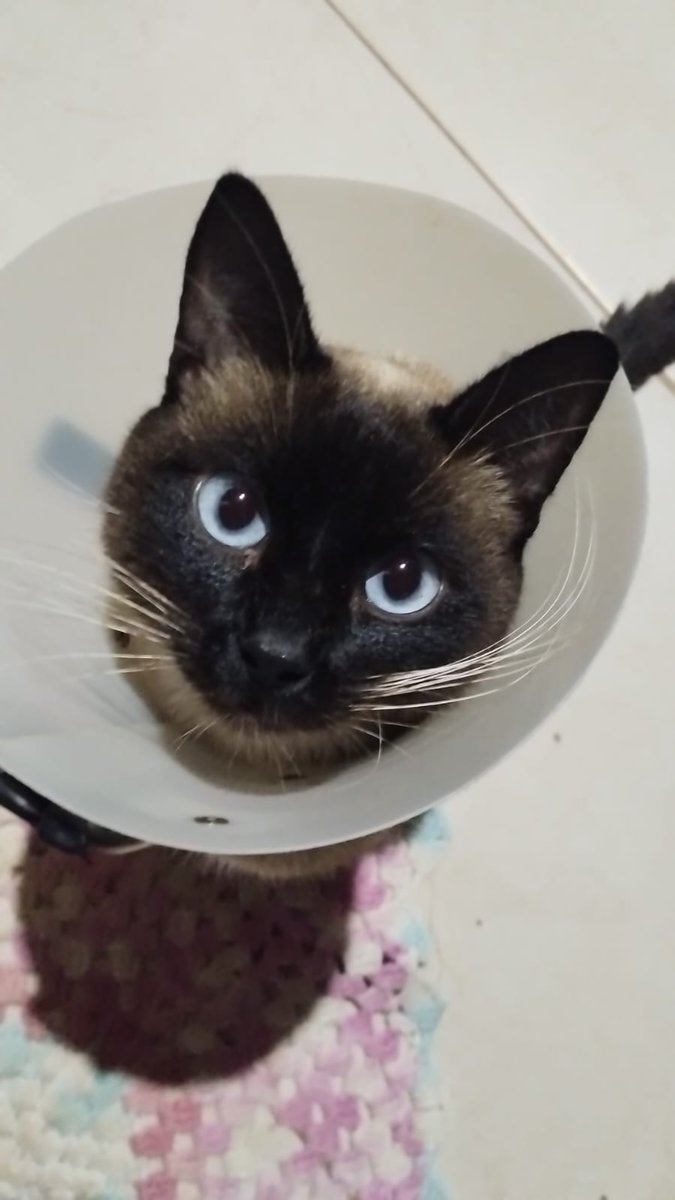 Bom dia do meu loirinho