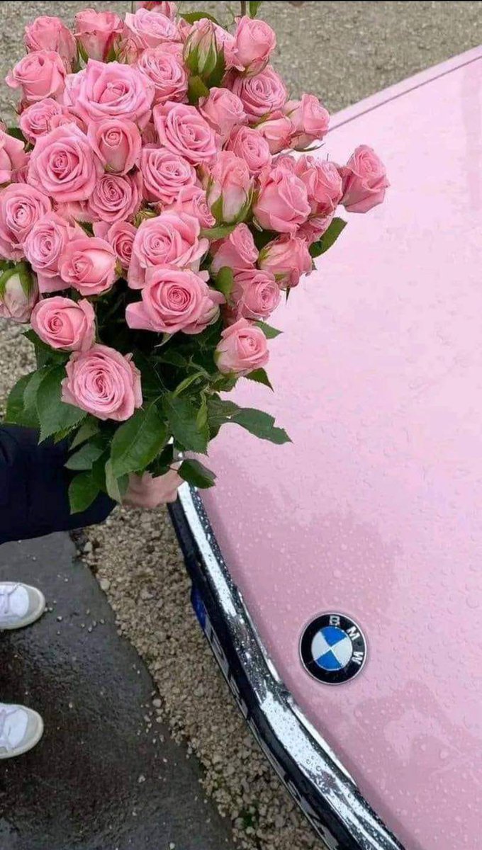 xx__zb's tweet photo. فيه جملة حلوة أوي بتقول :
"متخافش تبدأ من تاني، يمكن قصتك الجديدة أحلى. " 

ربنا مابياخدش حاجه منك غير و هو كاتبلك الأحسن منها
{ إِن يَعْلَمِ اللَّهُ فِي قُلُوبِكُمْ خَيْرًا يُؤْتِكُمْ خَيْرًا مِّمَّا أُخِذَ مِنكُمْ ﴾🩷 #تابعني_أتابعك https://t.co/v2Zb78PNce
