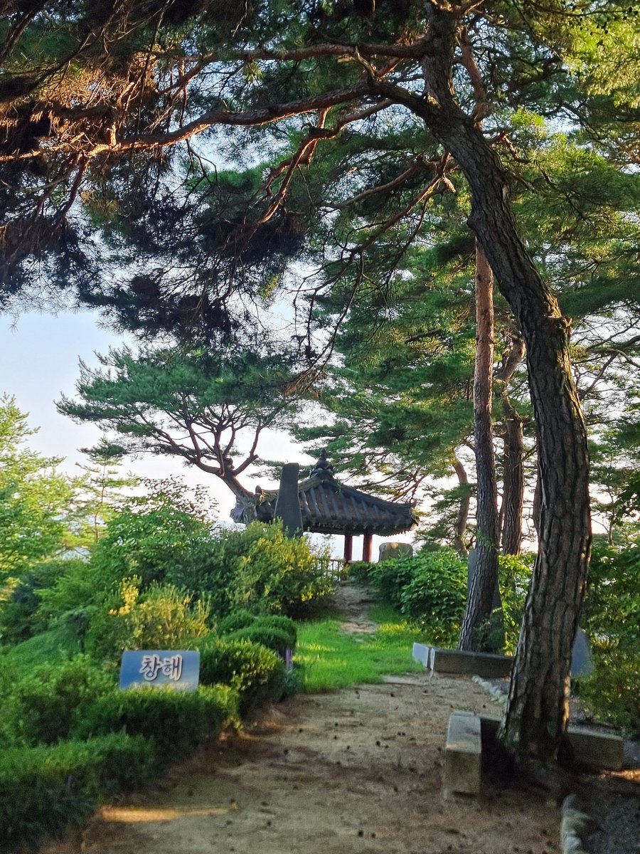 mjhosd's tweet photo. #목수국
꽃말 : 냉정, 무정, 거만

철쭉 명소로 유명한 홍천 척야산수목원,
지금은 목수국 만발!!
한바퀴도는데 1.30분 정도 걸리네요

#홍천척야산수목원 #홍천군 #홍천가볼만한곳 
#8월가볼만한곳 #목수국명소
#강원도여행 #강원도가볼만한곳 https://t.co/lSeyF66hzI