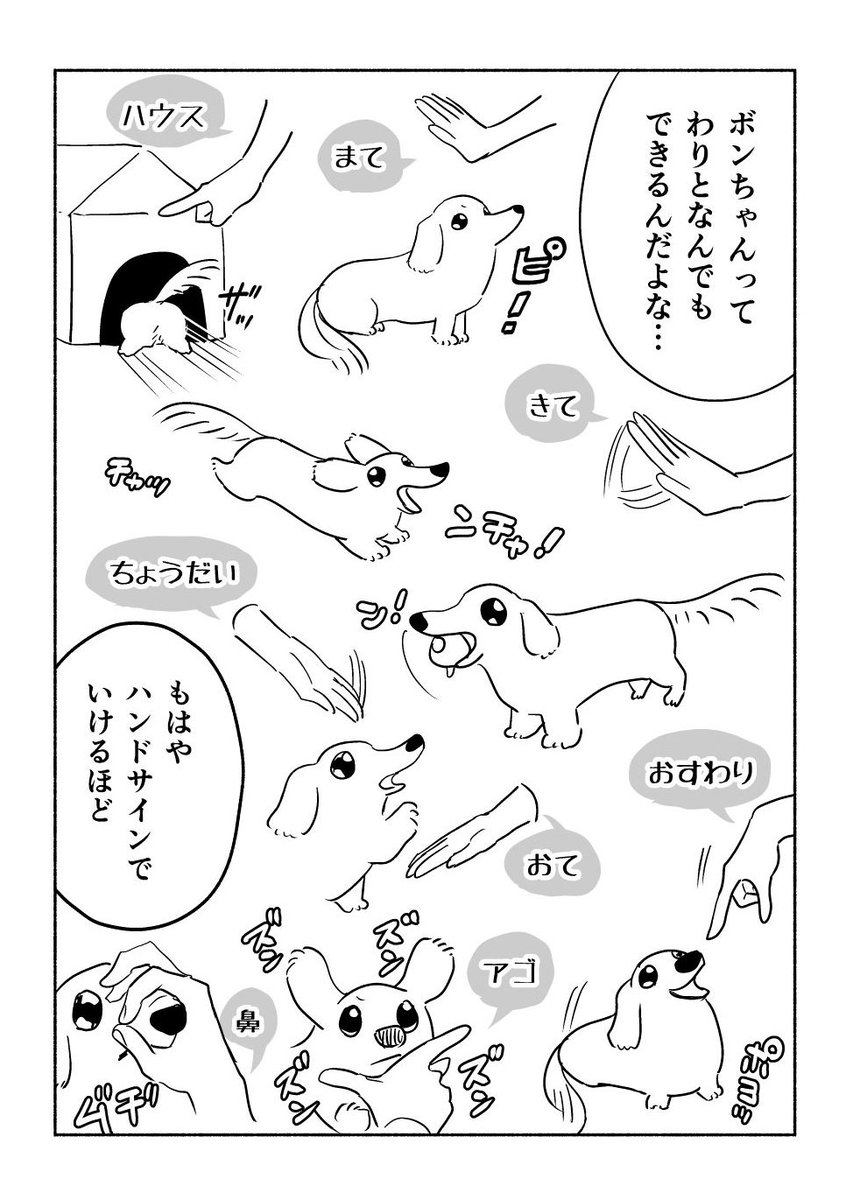 新メンバー加入時の犬 2/2 | ちとせ さんのマンガ | ツイコミ(仮)