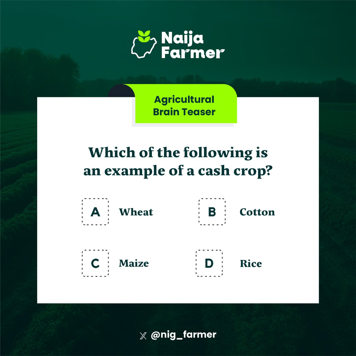 NaijaFarmer tweet media