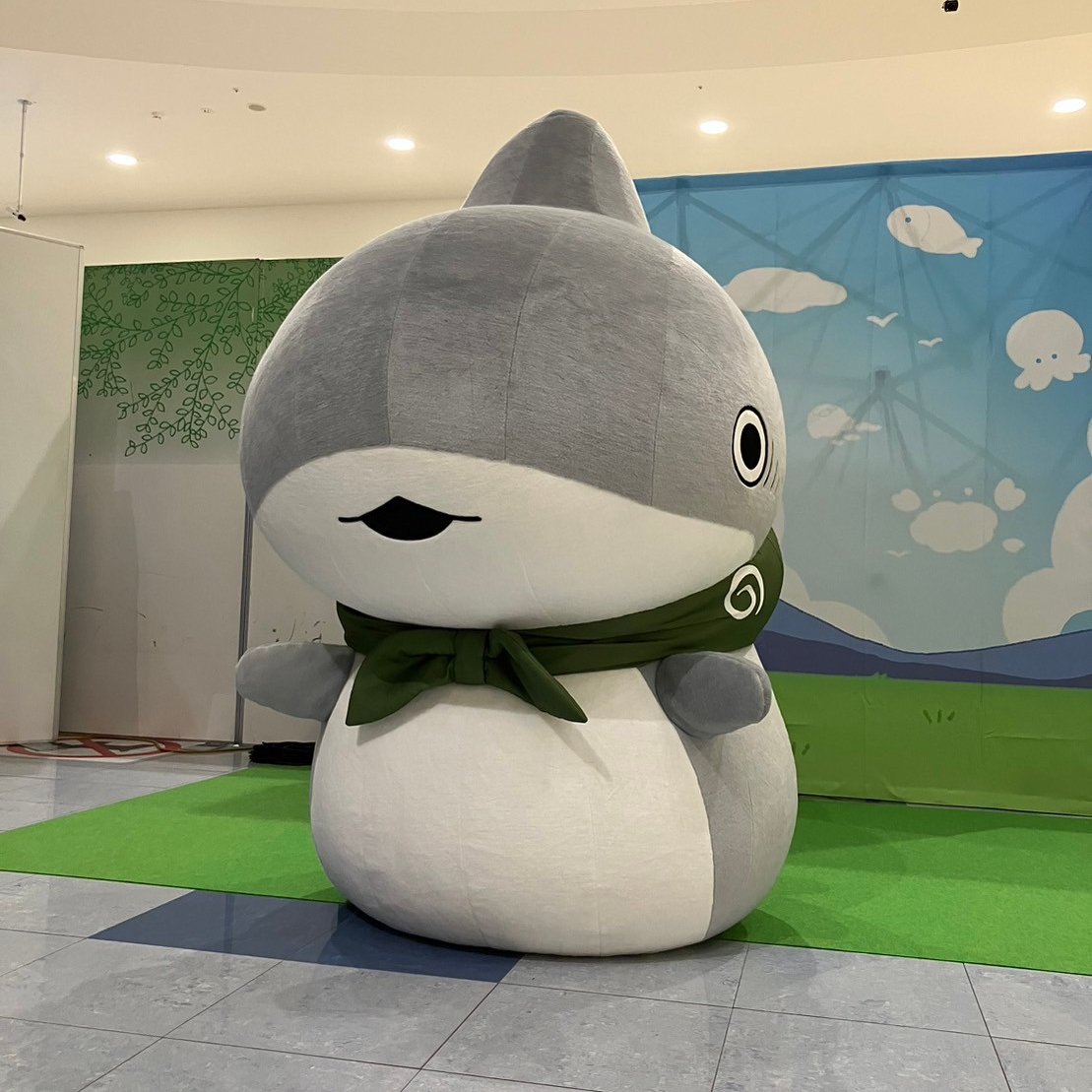 アニメ『#おでかけ子ザメ』 NEW!子ザメちゃんのグリーティング🦈♡ #子