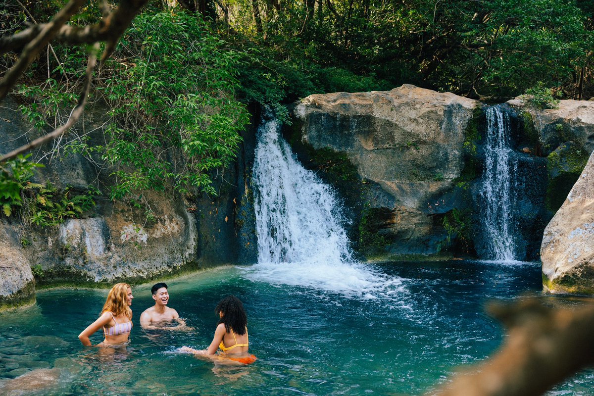 Costa Rica is home to some of the world’s most beautiful #waterfalls and #LasChorreras waterfall is no exception 😍

Nothing short of breathtaking, you can reach the waterfall  by following a 30 minute lush trail and its water cascades into a small, turqiouse pool!
