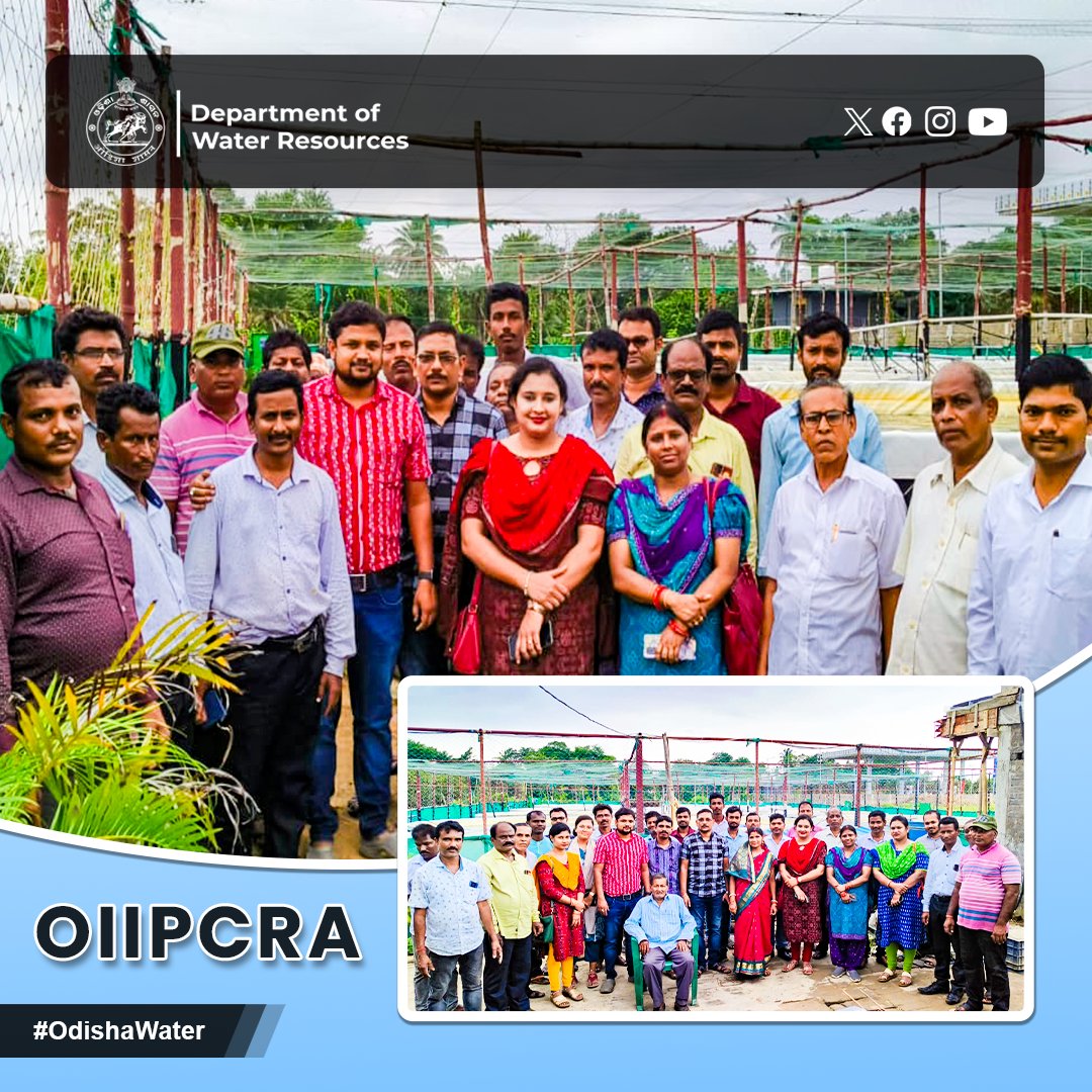 OdishaWater's tweet photo. FE & FF Zone 7 joined an exposure visit on #BioflocTechnology for pisciculture at Narayana Ghadai's farm in Chandabali, #BhadrakDistrict. #OdishaWater #OIIPCRA
@CMO_Odisha @DC_Odisha @_anugarg https://t.co/MFTACJ9Chj