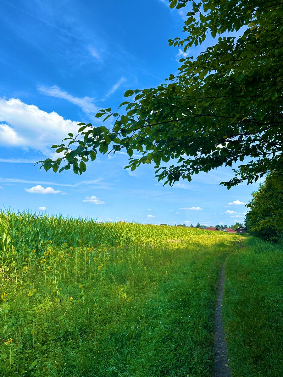 furkanmtorun's tweet image. ๐๐ปโโ๏ธFew shots from my run near home yesterday ๐๐ฅณ