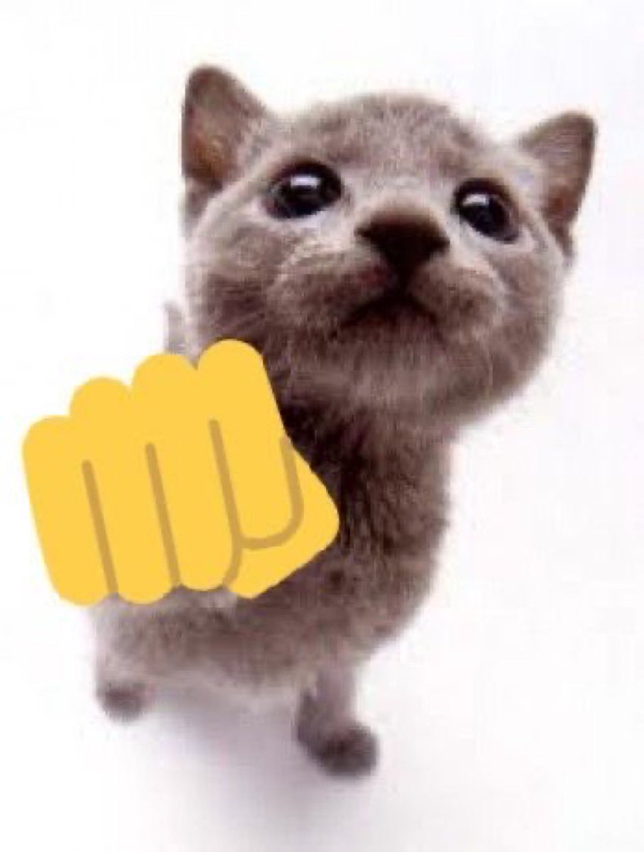 catpetduck's tweet photo. https://t.co/RnGtluEJxd