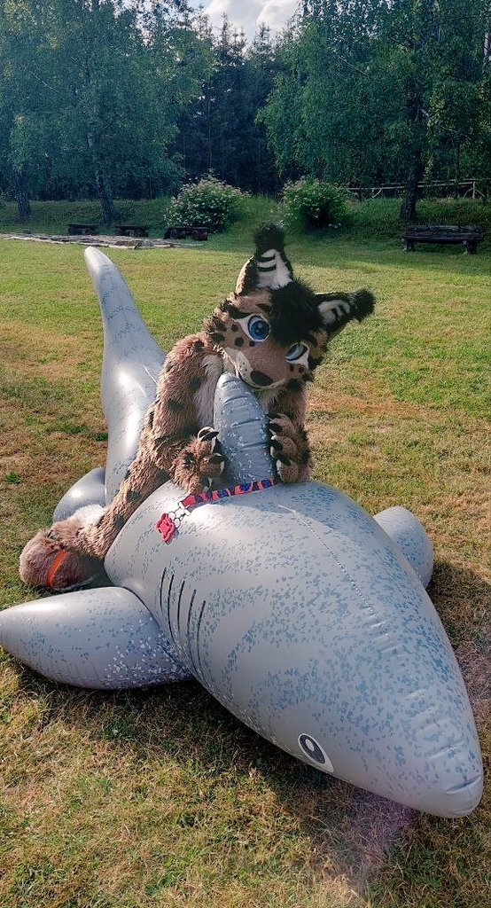 Kitty and watter ?
Better stay on that cute shark and go to swim 😁

#FursuitFriday #Furry #Fursuit #Fursuiter #inflatable