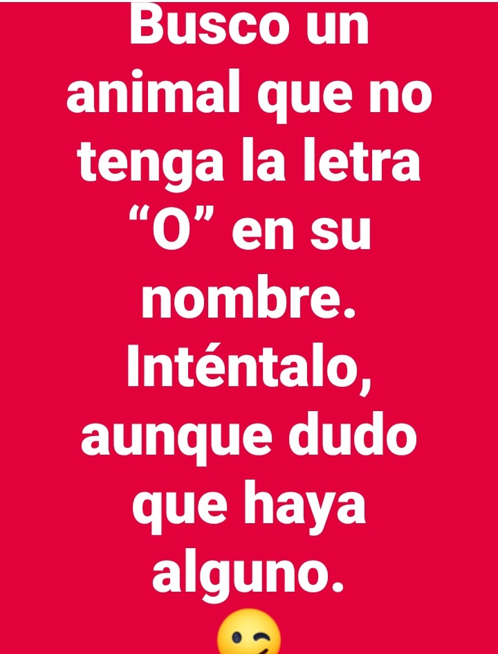 VidaEquilibrada tweet media