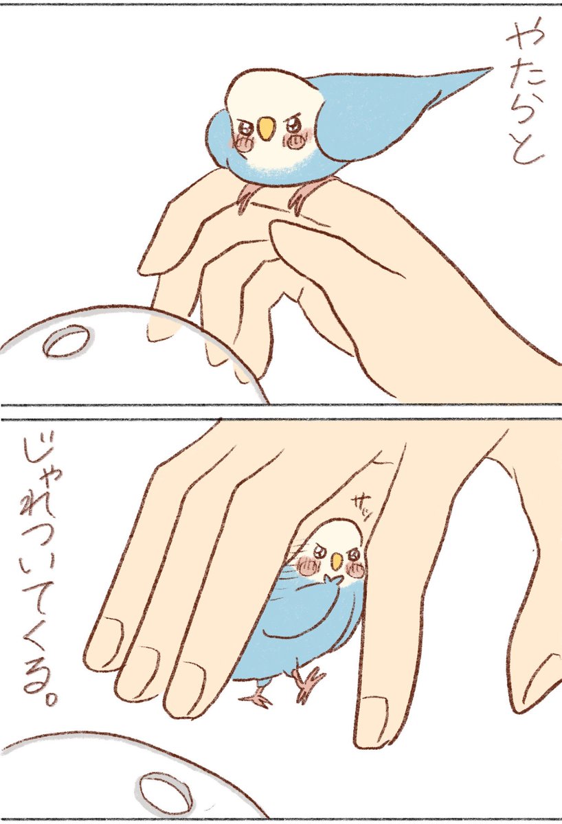 みっちゃんから手に触れてきてくれるのレアやから嬉しい 写真