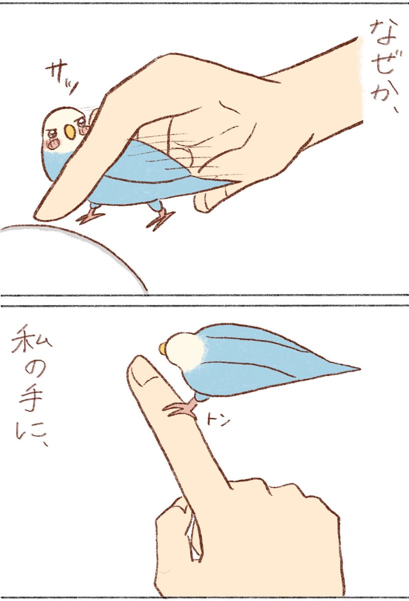 みっちゃんから手に触れてきてくれるのレアやから嬉しい 写真