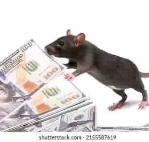 Kueth Gom Thiguan tweet media