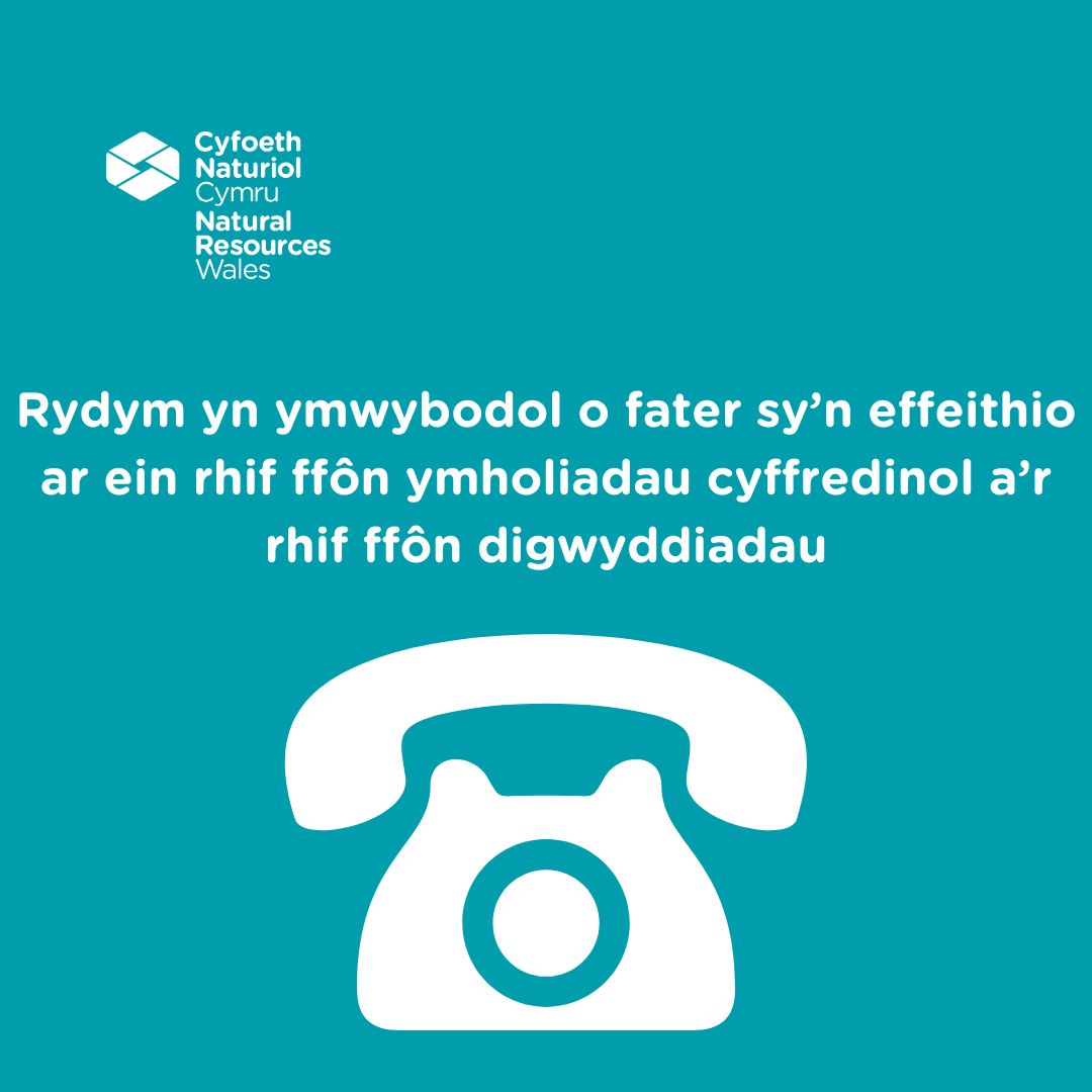 Mae ein llinellau ffôn ymholiadau cyffredinol a digwyddiadau i lawr

Wrth i ni ddatrys hyn, gallwch adrodd am ddigwyddiadau amgylcheddol trwy'r ffurflen adrodd ar-lein naturalresources.wales/about-us/conta…

Am ymholiadau cyffredinol eraill, e-bostiwch  ymholiadau@cyfoethnaturiolcymru.gov.uk
