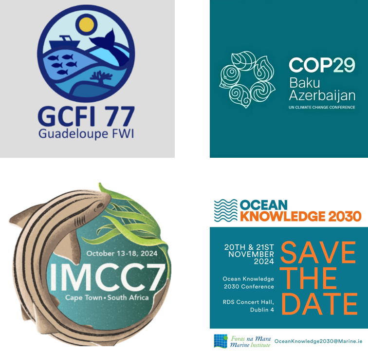 OurSharedOcean's tweet photo. Our  Mobility & Travel Grants are currently open to applications from SIDS students or early stage researchers. 
⏰Next Deadline  6th September
Apply 👉 https://t.co/EQpcjwaEdg

Support to attend and present at relevant international marine-themed conferences. To date we have had enquiries about #GCFI77, #COP29, #IMCC7 & #OceanKnowledge2030 all of which are eligible events!!

@MarineInst @Irish_Aid