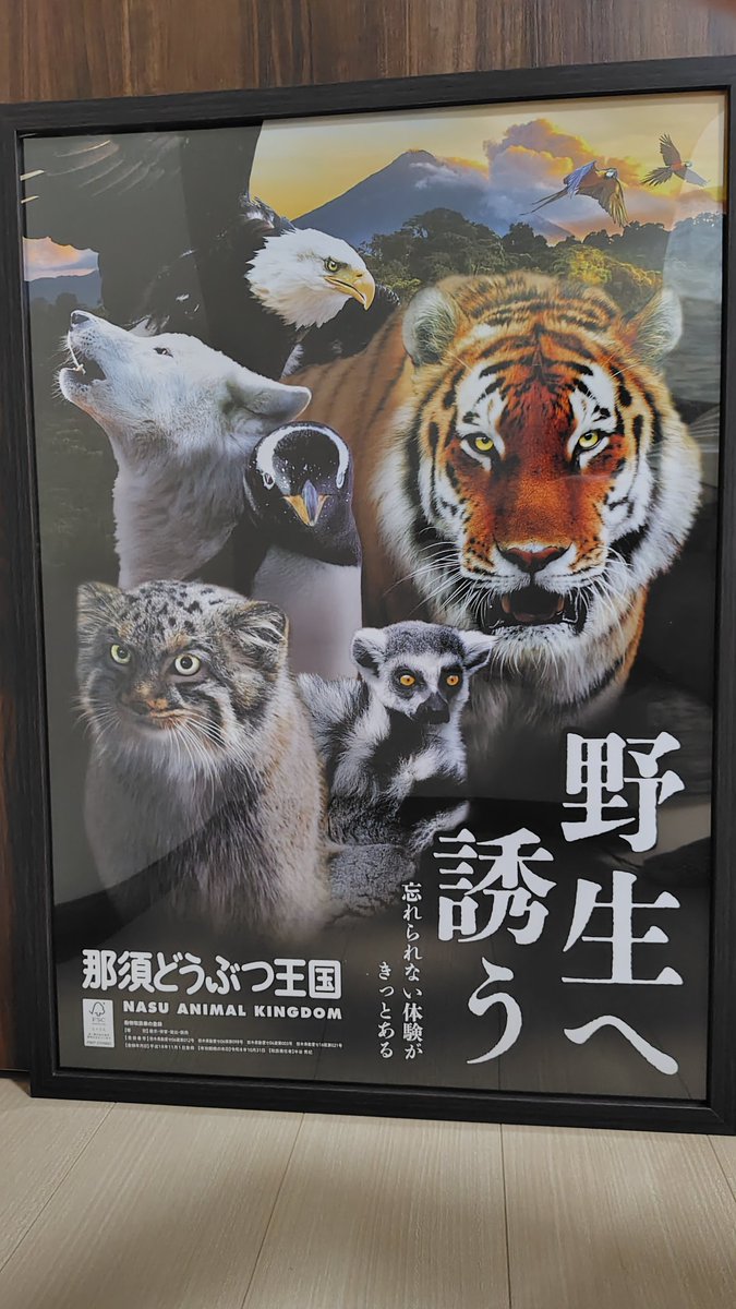 ポスターフレーム