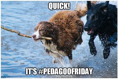 Educators! Back from your summer break? Us too! Today is the 1️⃣st #PedagooFriday of the new school year. Get involved! Share the highlights from wherever you are.  What’s been your #PedagooFriday moment this week?