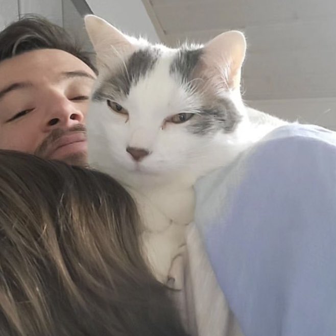 Juste un petit mot pour vous dire que mes bipèdes sont très confortables et toujours aussi gentil•les avec moi 😻 Je les aime de tout mon cœur ❤️