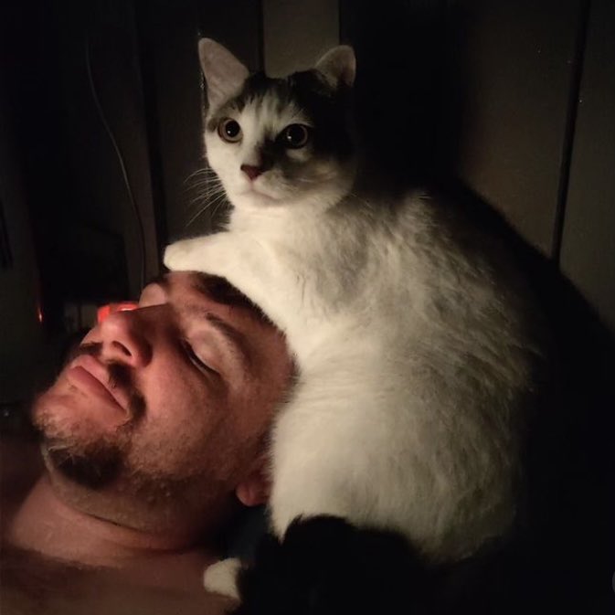 Tokay le chat 🐾 tweet media