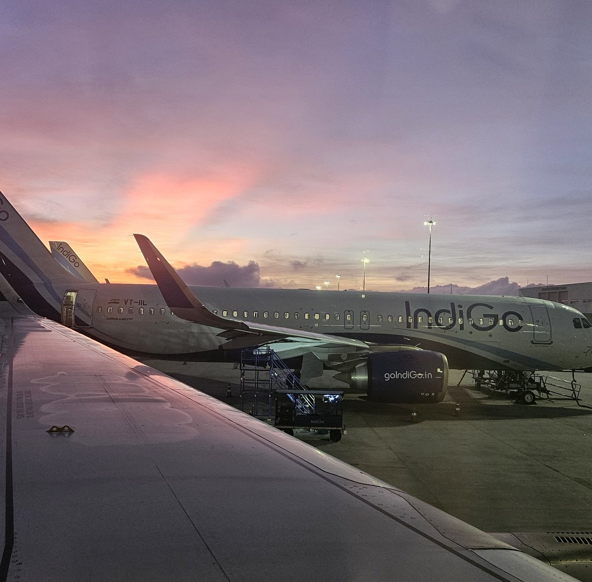 Finally decided to step outside after a month and see what color is the sky?  ¡Ay, mi amor!