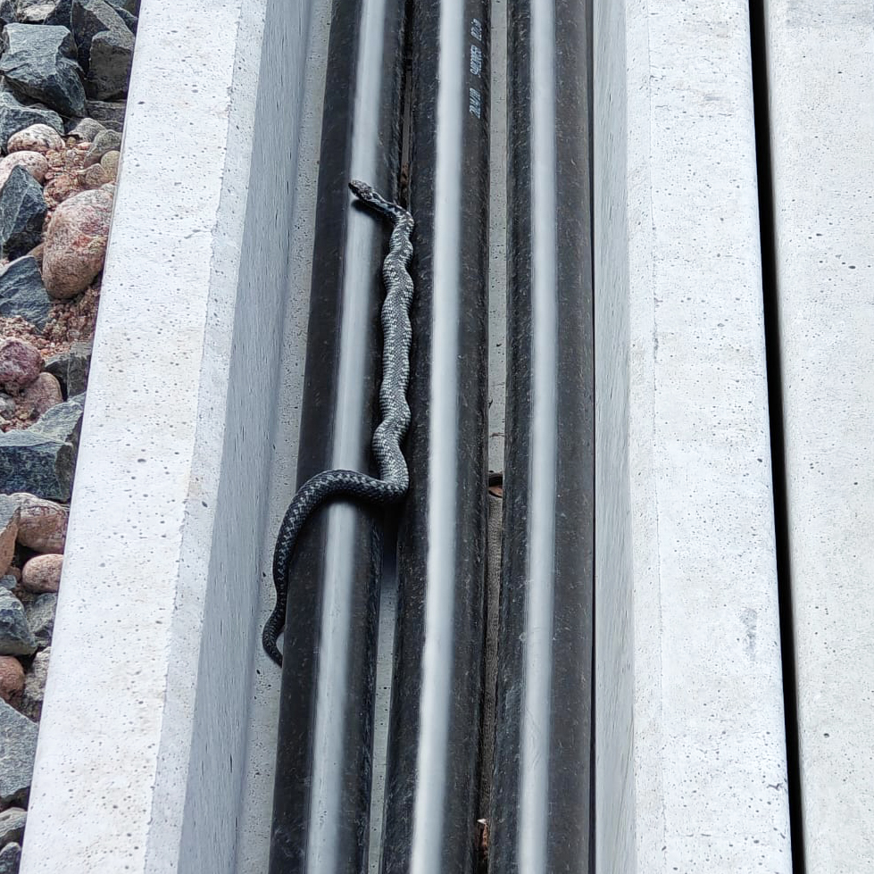 KreateOy's tweet photo. Se on työviikko ja samalla @INFRA_ry:n #kesätyömaani-kampanja lopuillaan. Suunnataan Helsinki–Riihimäki-hankkeelle, jossa Matias Riuttanen ottaa somehaasteen vastaan. Lue lisää ratakonkarimme mietteitä:
https://t.co/oRjfuLSrxv
#KreateOy #radalla #infralla #rakentavasti #kesä2024 https://t.co/VXLd0IHZHC