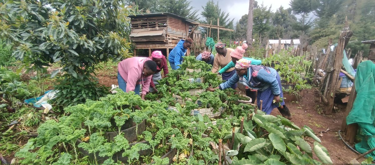 Slow Food Kenya tweet media