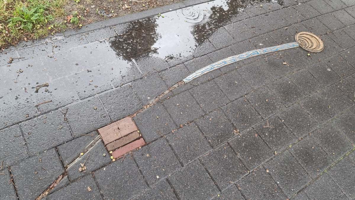 RTV Focus Zwolle tweet media