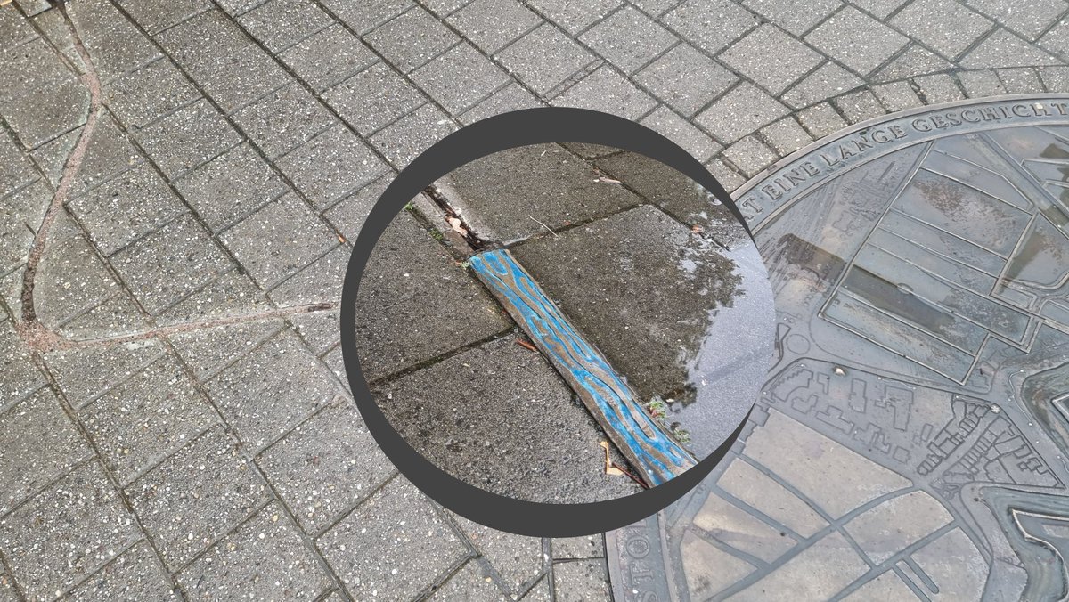 RTV Focus Zwolle tweet media