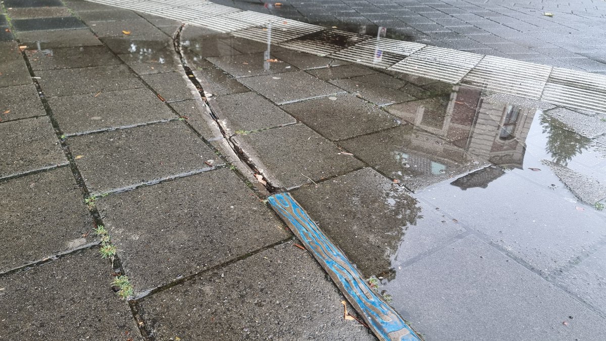 RTV Focus Zwolle tweet media