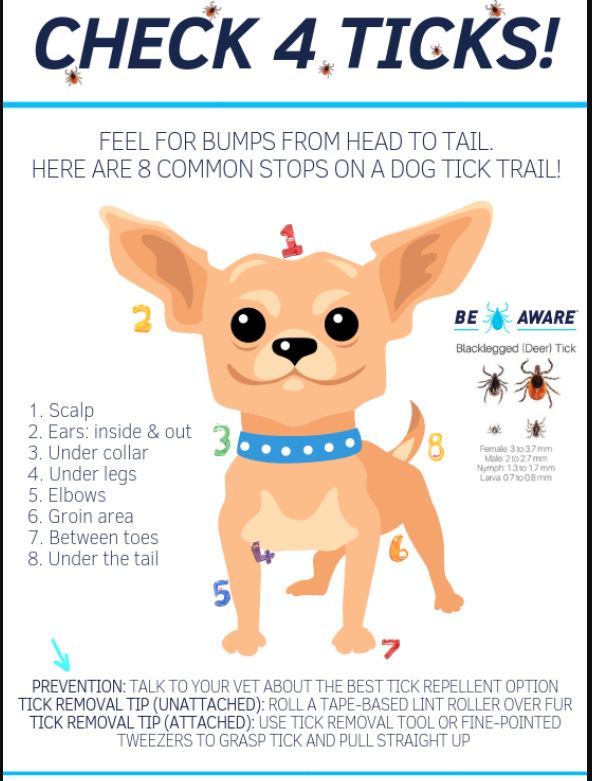 Manor Fields Adare tweet media