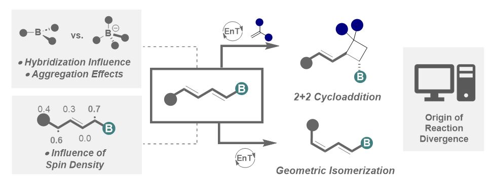 J. J. Molloy Lab (@johnjmol) on Twitter photo Delighted to share our recent collaborative effort with <a href="/funes_ardoiz/">Ignacio Funes-Ardoiz</a> "Regioselectivity of non-Symmetrical Borylated Dienes via EnT Catalysis: Unveiling the Relationship between Structure and Reactivity" posted on <a href="/ChemRxiv/">ChemRxiv</a> <a href="/MpiciPotsdam/">Max Planck Institute of Colloids and Interfaces</a>. Hope you enjoy!
chemrxiv.org/engage/chemrxi… Delighted to share our recent collaborative effort with <a href="/funes_ardoiz/">Ignacio Funes-Ardoiz</a> "Regioselectivity of non-Symmetrical Borylated Dienes via EnT Catalysis: Unveiling the Relationship between Structure and Reactivity" posted on <a href="/ChemRxiv/">ChemRxiv</a> <a href="/MpiciPotsdam/">Max Planck Institute of Colloids and Interfaces</a>. Hope you enjoy!
chemrxiv.org/engage/chemrxi…
