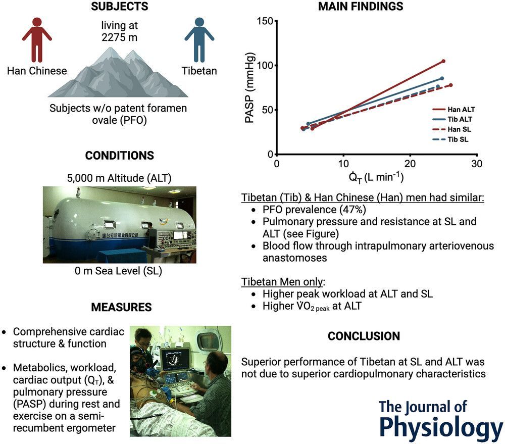 Journal of Physiology (@jphysiol) on Twitter photo Möller (<a href="/MITAeroAstro/">MIT AeroAstro</a>), Fan (<a href="/AucklandUni/">University of Auckland | Waipapa Taumata Rau</a>), Futral, <a href="/AndrewTLovering/">Andrew Lovering</a> (<a href="/HphyUo/">UO Human Physiology</a>), Hodgman (<a href="/HHP_UH/">HHP at UH</a>) and @bengt_kayser (@unilsport) compare the cardiopulmonary haemodynamics in Tibetans and Han Chinese during rest and exercise!
📜buff.ly/3X4g5bz. Möller (<a href="/MITAeroAstro/">MIT AeroAstro</a>), Fan (<a href="/AucklandUni/">University of Auckland | Waipapa Taumata Rau</a>), Futral, <a href="/AndrewTLovering/">Andrew Lovering</a> (<a href="/HphyUo/">UO Human Physiology</a>), Hodgman (<a href="/HHP_UH/">HHP at UH</a>) and @bengt_kayser (@unilsport) compare the cardiopulmonary haemodynamics in Tibetans and Han Chinese during rest and exercise!
📜buff.ly/3X4g5bz.