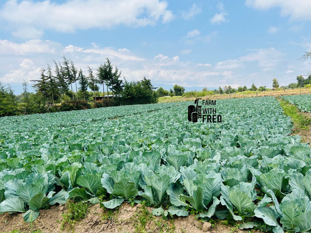 Farm With Fred tweet media