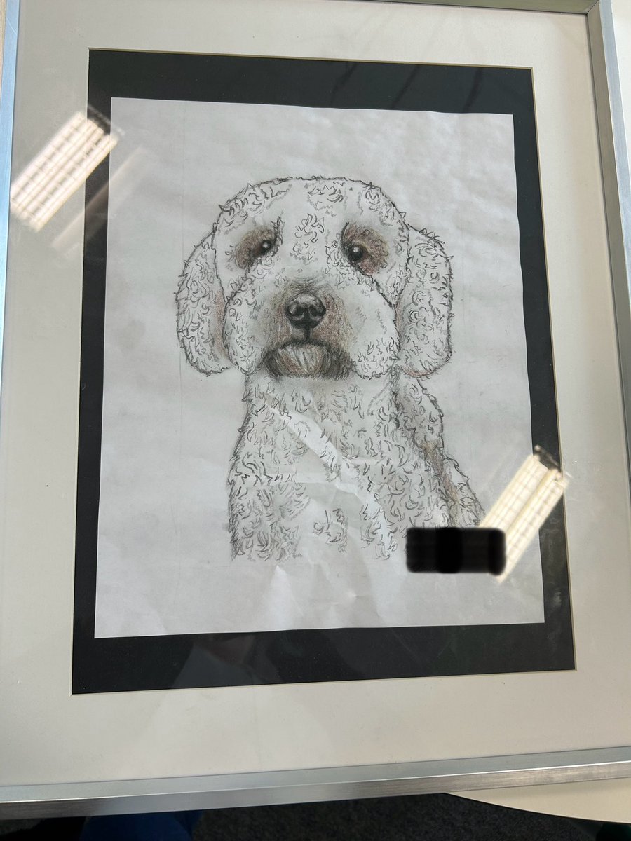 The Den @FHS tweet media