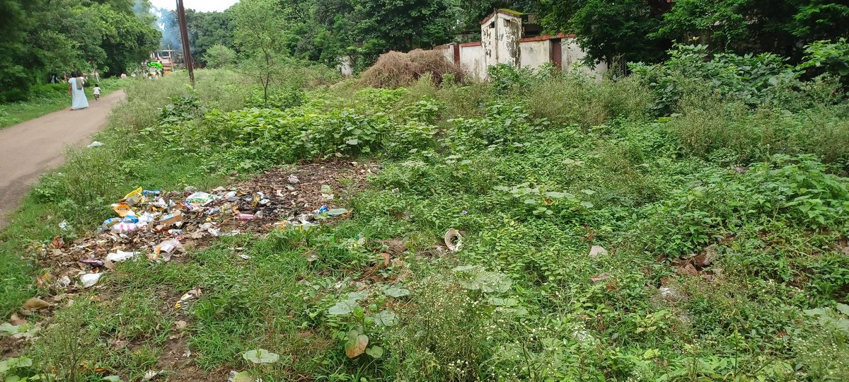 JackS19319's tweet photo. Sir,Railway Colony Bhilai-3 is in dire need of maintenance! High bushes are growing near quarters, and garbage is scattered everywhere. Responsible officials keep citing tender problems.@GMSECR @drm_raipur @DRMBilaspur @RailwaySeva @RailwayMinister Please take action! https://t.co/ROHJtDmsyL