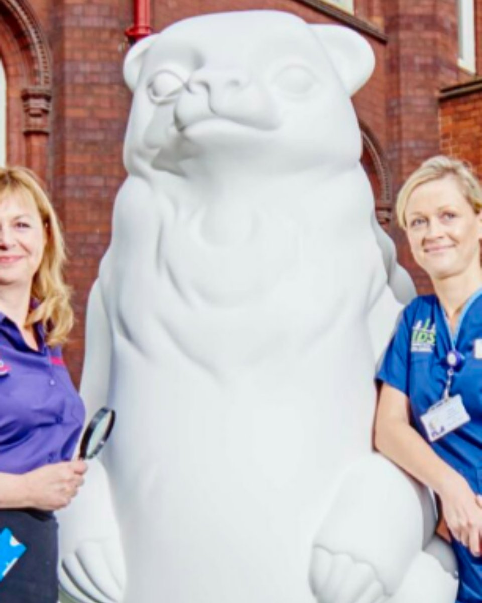 Camperdown Wildlife tweet media