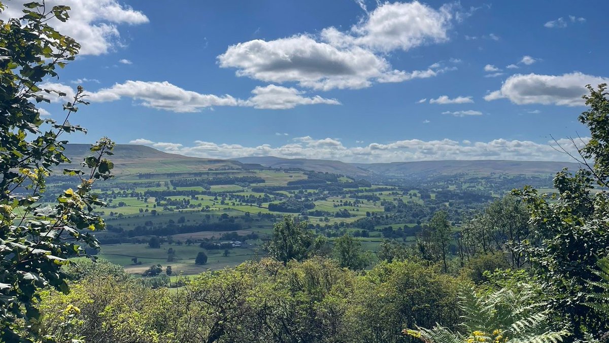 The HandleBards tweet media