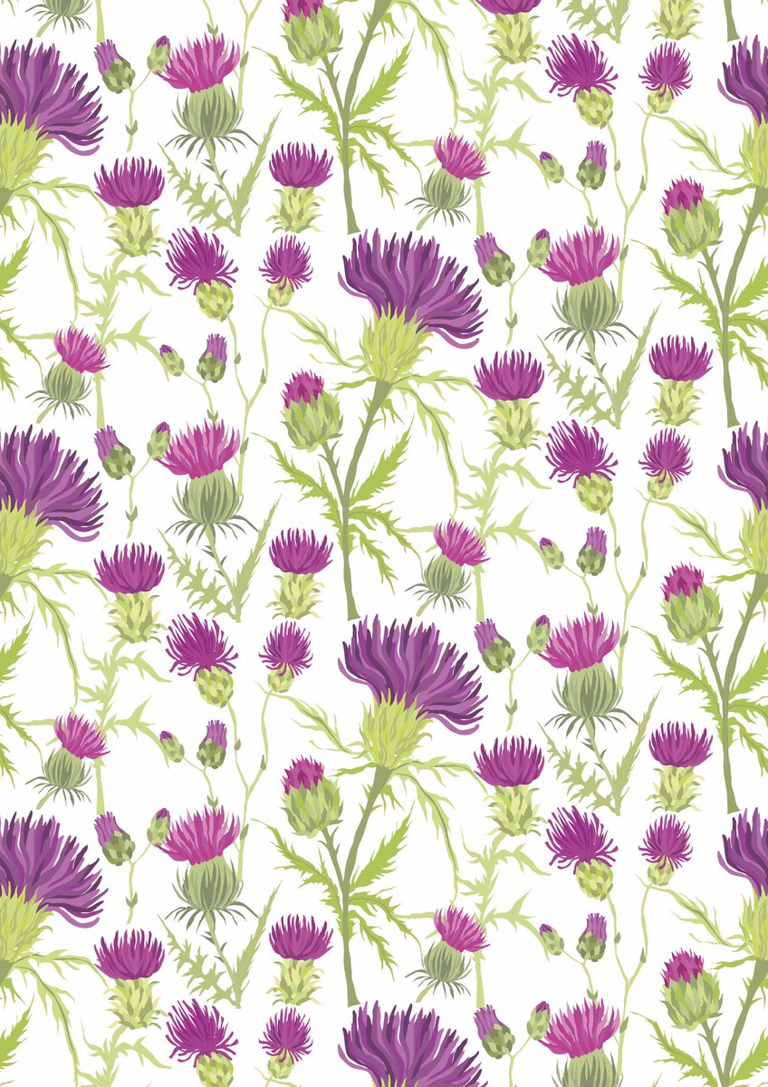 Thistles
In Celtic cultures they believe the thistle symbolises devotion, bravery, determination, and strength.

Designed for my Granny x

#designedbyesther #thistles #scotland #flowerofscotland