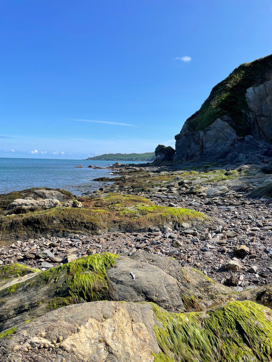 StartBayInn's tweet photo. Low tide between #Beesands &amp; #Hallsands giving a different #view of #StartPoint 😊⁣
⁣
So who is venturing over our way this #weekend? Looks like it’s going to be a beautiful #sunny one ☀️⁣
⁣
⁣#StartPointLighthouse #StartPoint #StartBay https://t.co/0YVQv3uKf5