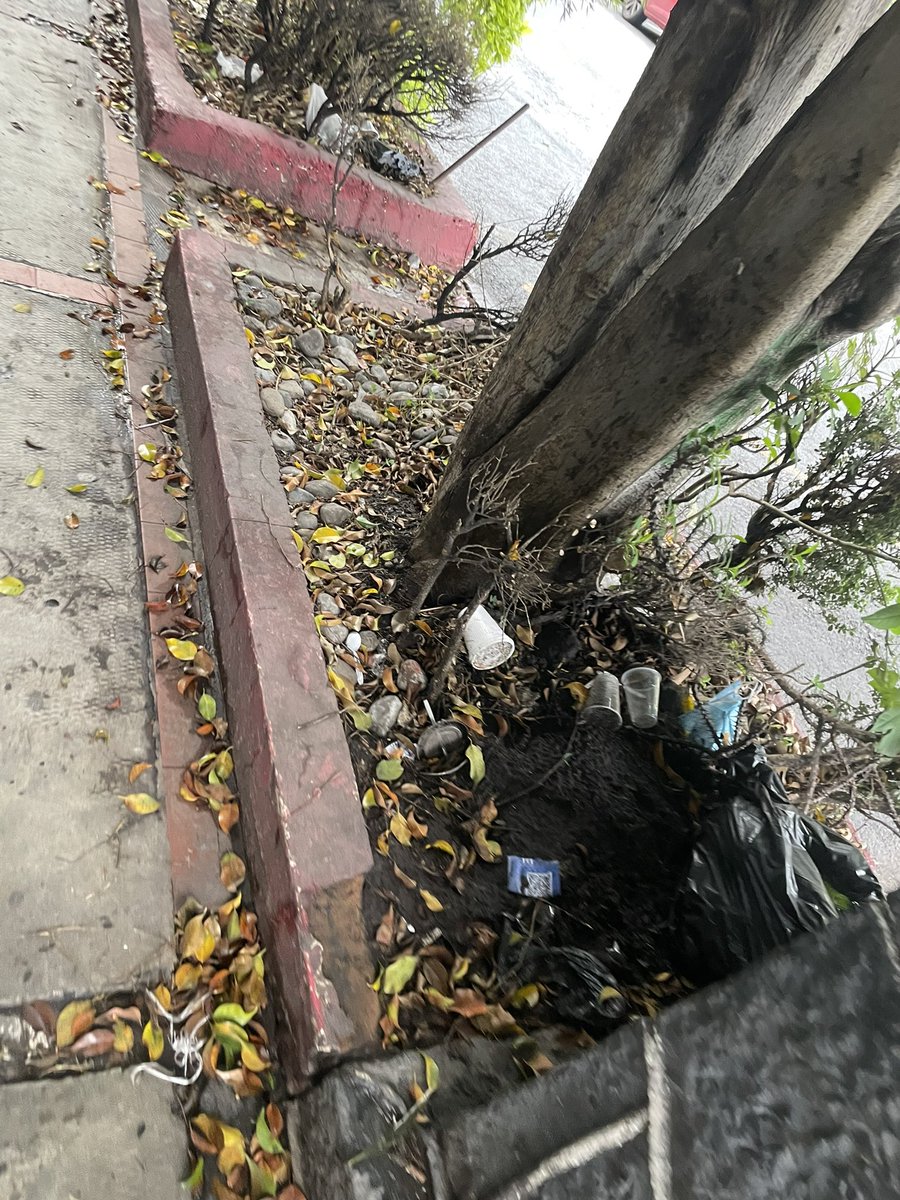 ramirezfavela's tweet photo. Así luce la entrada de la #guadalupeinn llena de basura y @GDCdesarrollos arrendó a @est.metropolitanos y nadie se responsabiliza de manger limpio @lialimon @AlcaldiaAO https://t.co/TZyak7d2ed