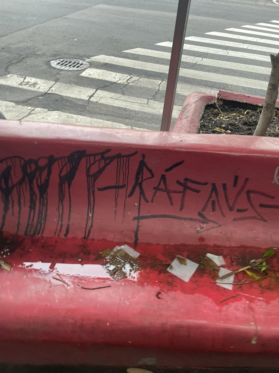 ramirezfavela's tweet photo. Así luce la entrada de la #guadalupeinn llena de basura y @GDCdesarrollos arrendó a @est.metropolitanos y nadie se responsabiliza de manger limpio @lialimon @AlcaldiaAO https://t.co/TZyak7d2ed