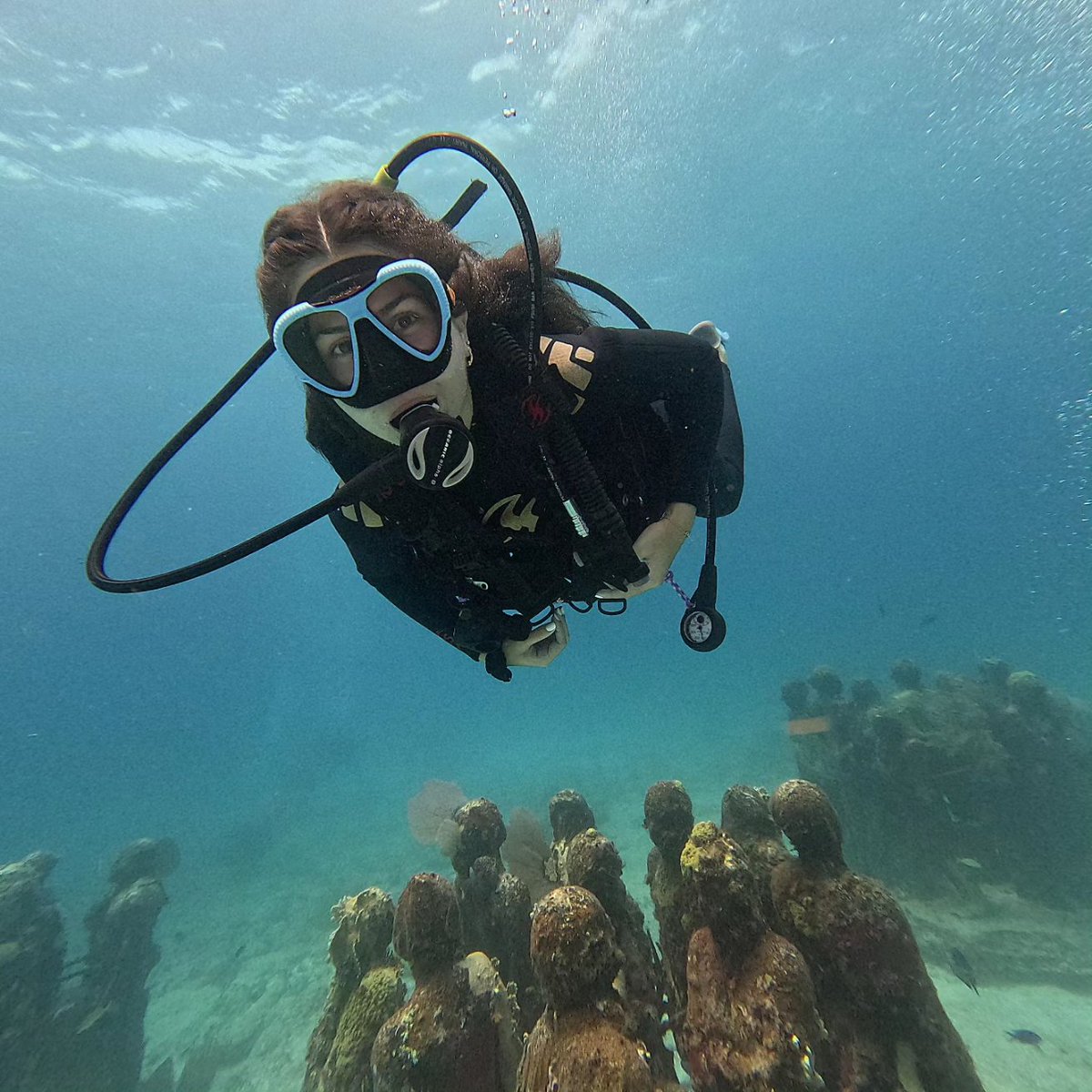 A' HA' Scuba Diving tweet media