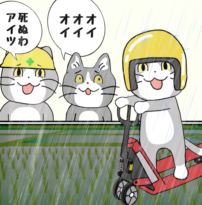 ちょっと田んぼの様子見に行ってくる 